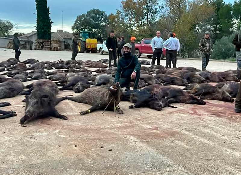 Resultado Montería Pozo Borrico 2024 Monterias AG JG